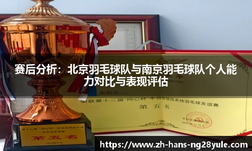 赛后分析：北京羽毛球队与南京羽毛球队个人能力对比与表现评估